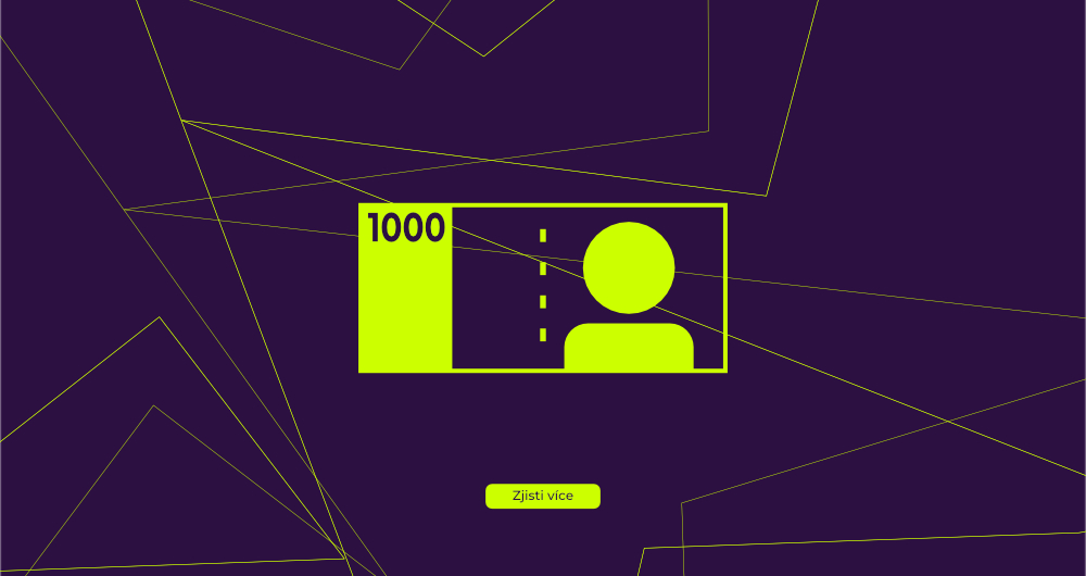 Jak vydělat 1000 Kč denně?_úvodní